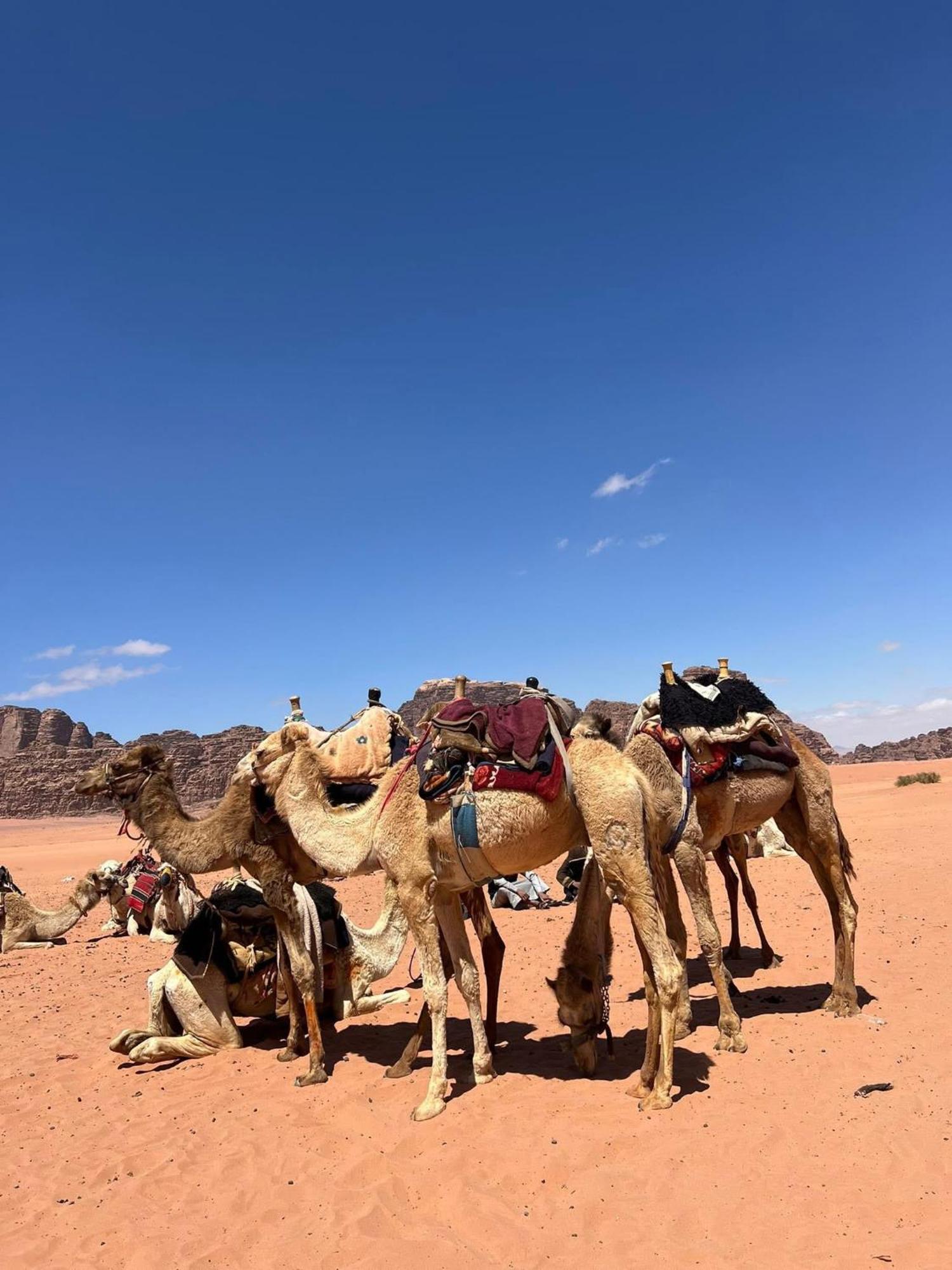 Landscape Rum Camp Hotel Wadi Rum Exterior foto